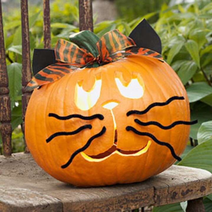 Cute Pumpkin Ideas Furniture Ideas DeltaAngelGroup