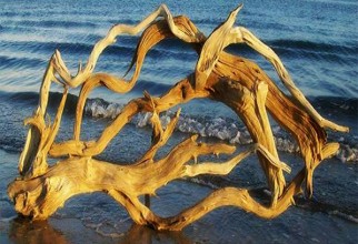 1600x1217px Driftwood In Natural Glory Picture in Furniture Idea