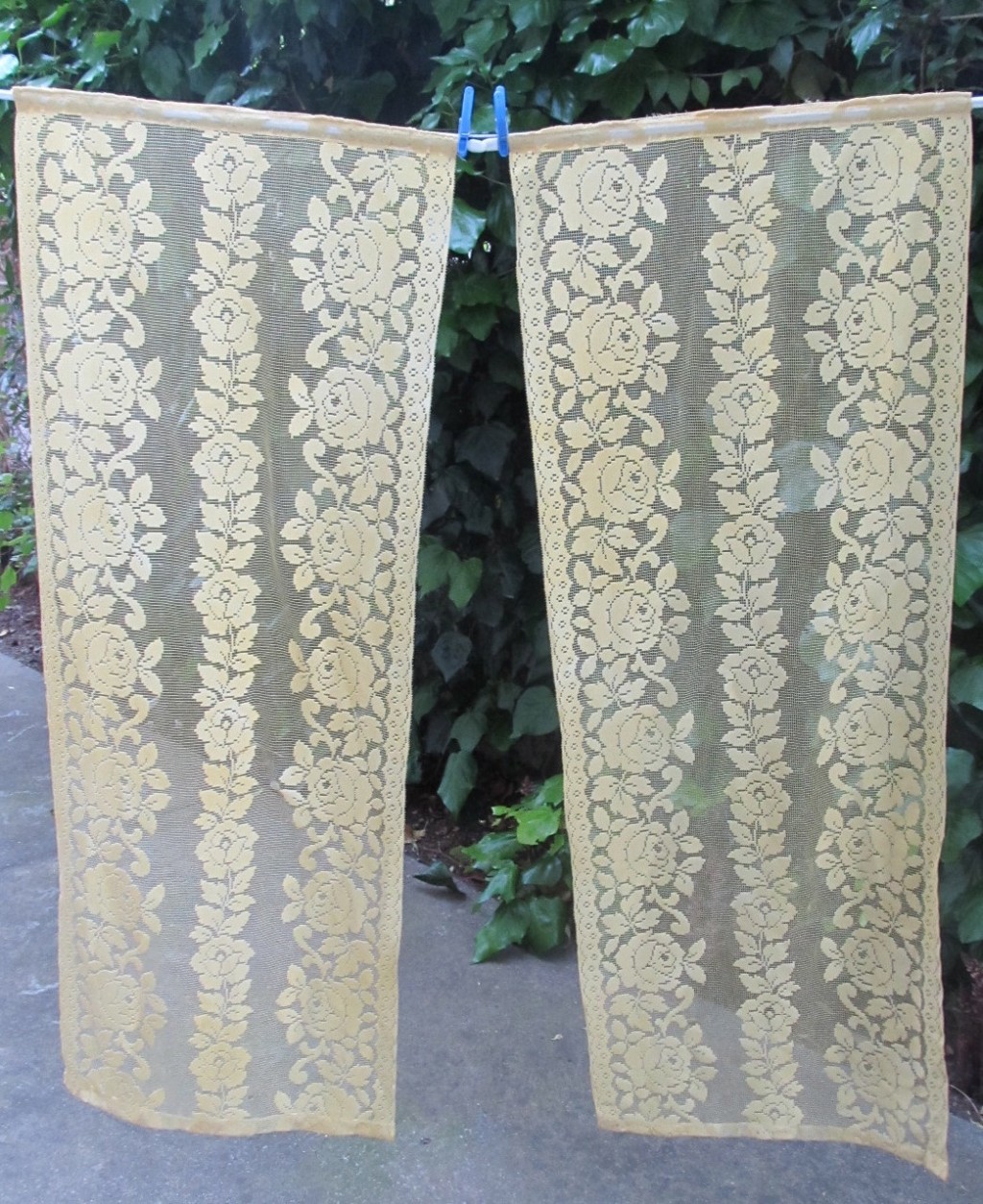 French Lace Curtains in Curtain