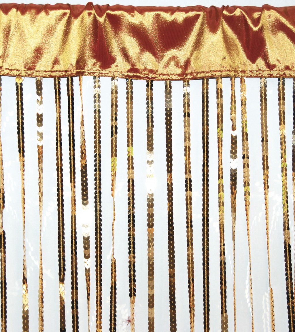 Sequin Curtains in Curtain