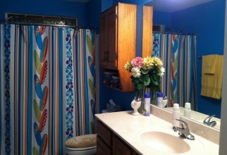736x549px Surfboard Shower Curtain Picture in Curtain