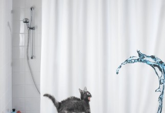 1500x1500px Cat In The Hat Shower Curtain Picture in Curtain