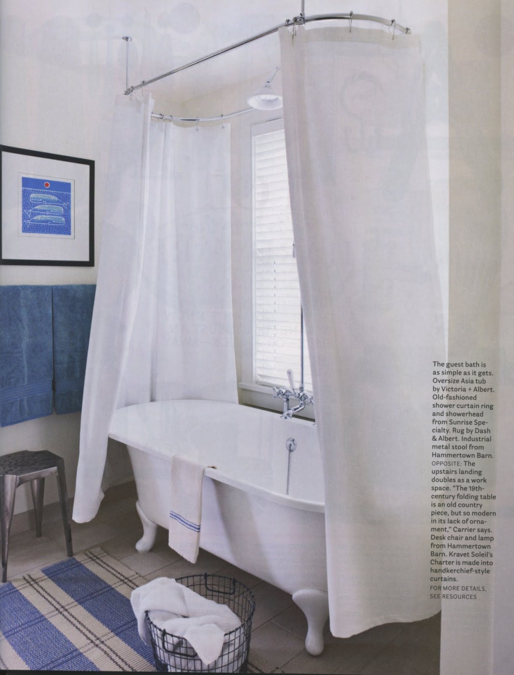 Clawfoot Shower Curtain in Curtain