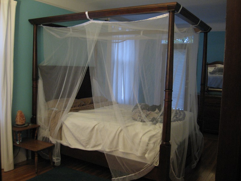 Mosquito Net Curtains in Curtain