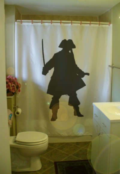 See Through Shower Curtain in Curtain