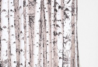 730x1095px Birch Tree Curtains Picture in Curtain