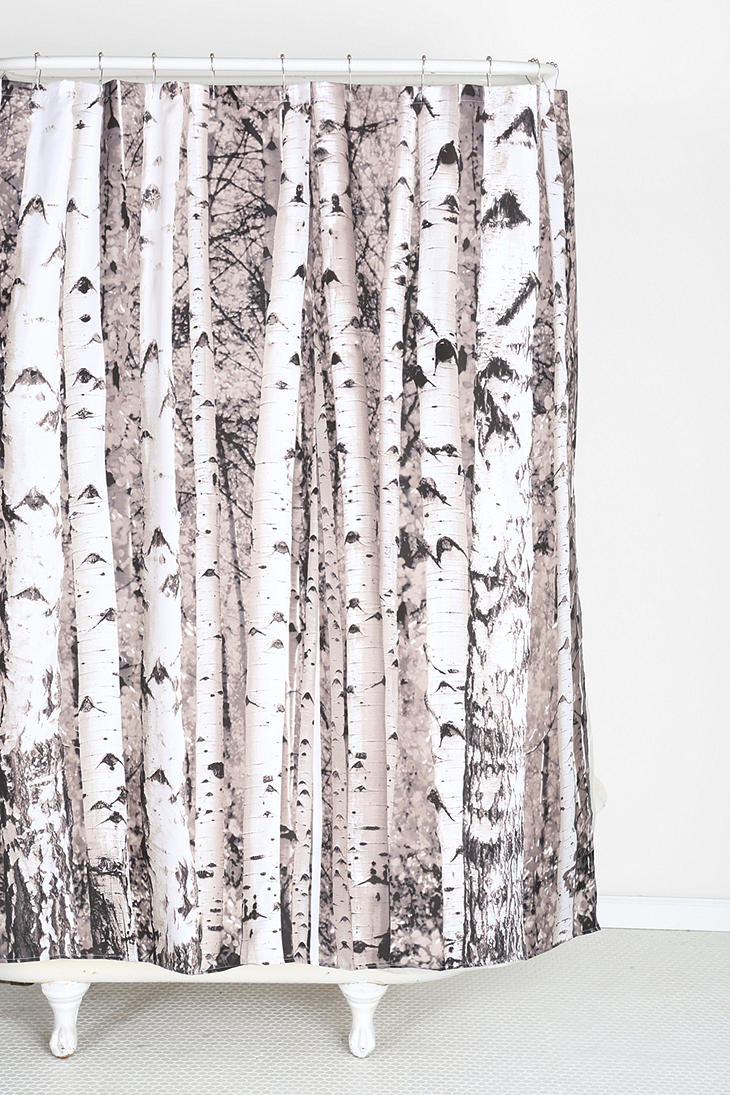 Birch Tree Curtains in Curtain