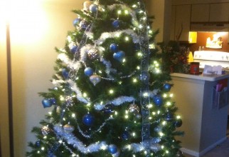 736x985px Blue And Silver Christmas Tree Picture in Interior Design