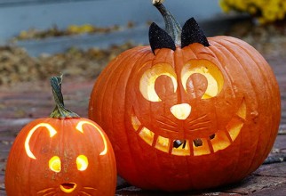 570x570px Cool Carving Pumpkin Ideas Picture in inspiration