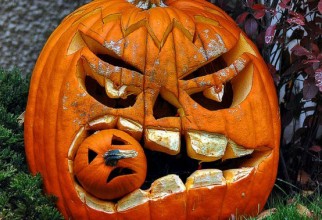 554x523px Different Pumpkin Carving Ideas Picture in inspiration