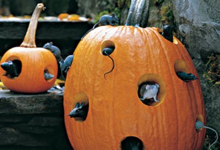 500x625px Diy Halloween Decorations Outdoor Picture in inspiration