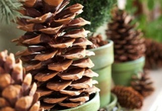 480x640px Pine Cone Decorations Picture in inspiration