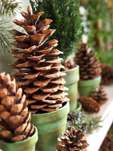 Pine Cone Decorations in inspiration