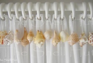 625x370px Seashell Shower Curtain Hooks Picture in Curtain