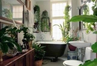 554x436px Tropical Bathroom Ideas Picture in Bathroom