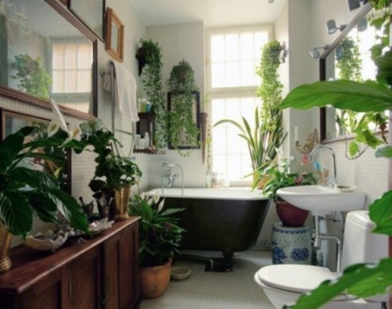 Tropical Bathroom Ideas in Bathroom