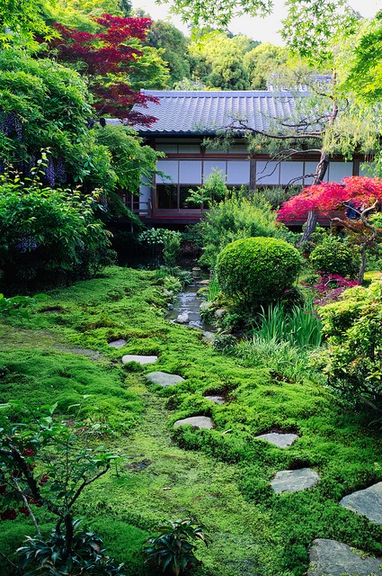 Zen Garden Designs in Garden