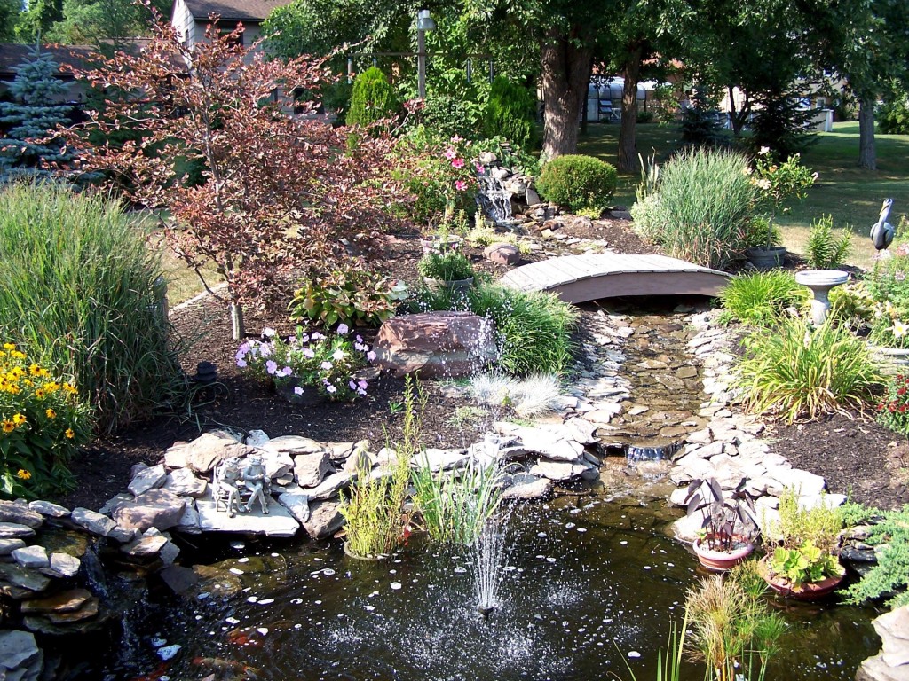 Backyard Pond Design in Garden