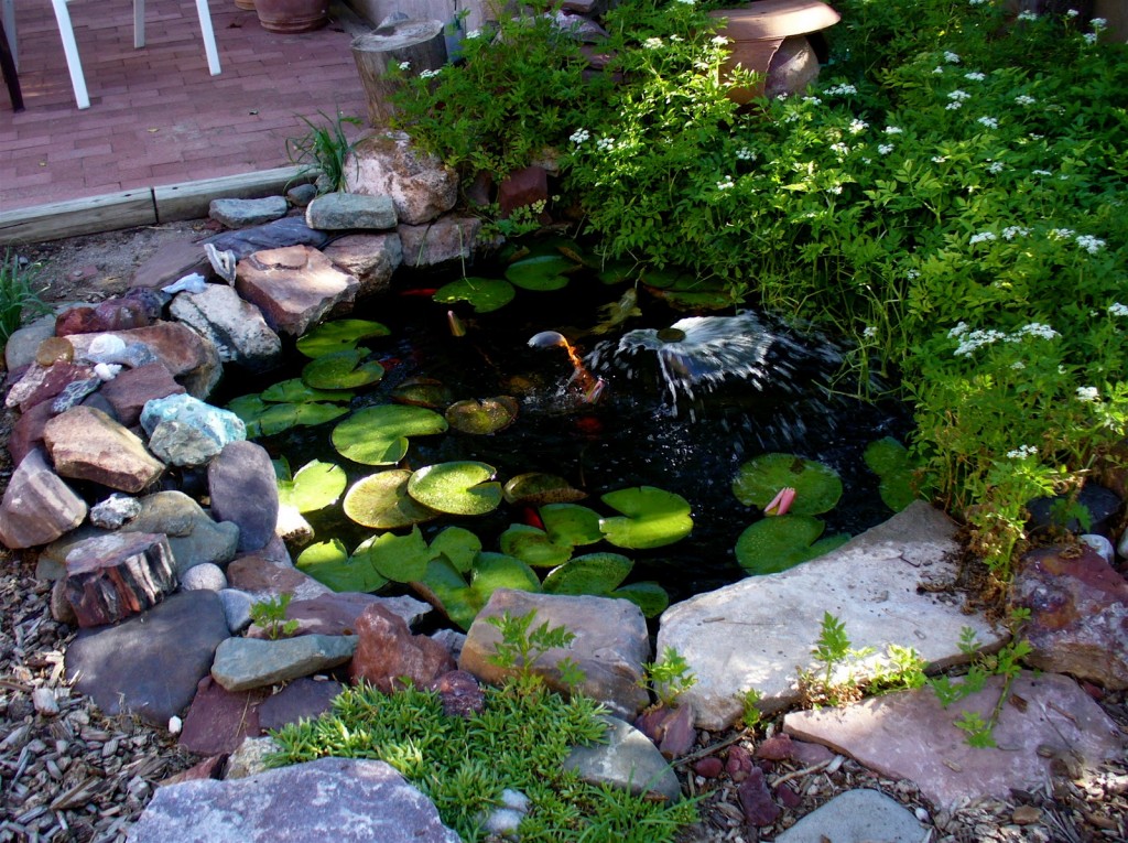 Fish Pond Design in Garden