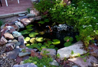 1600x1196px Fish Pond Design Picture in Garden