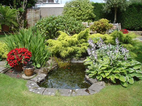 Garden Pond Designs in Garden