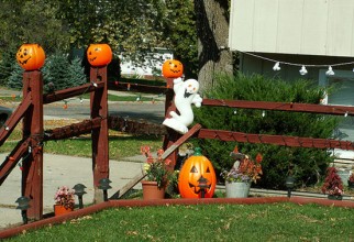 554x416px Halloween Decorating Ideas Outdoor Picture in inspiration