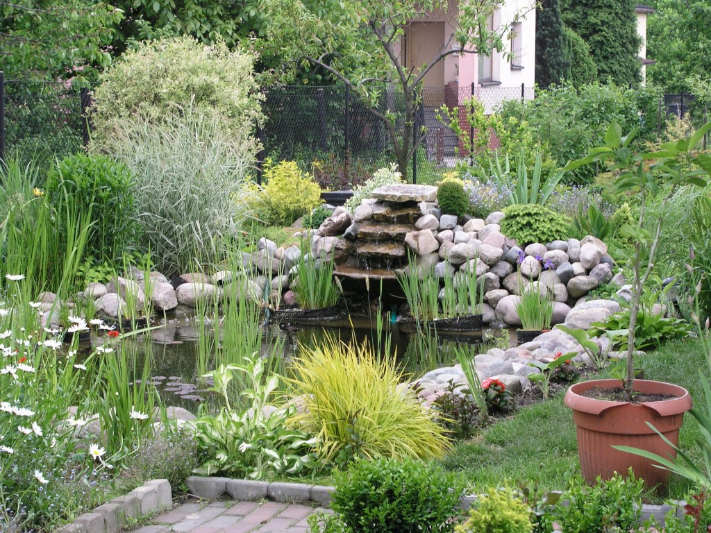 Pond Design Pictures in Garden