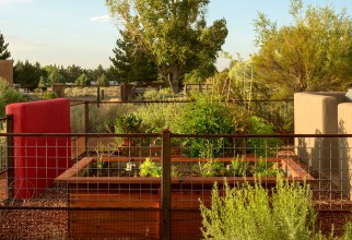 990x686px Awesome  Eclectic Vegetable Garden Fencing Photos Picture in Garden Fence