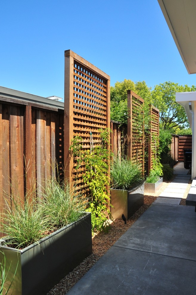 Awesome  Contemporary Lattice Garden Fence Photo Inspirations in Garden Fence